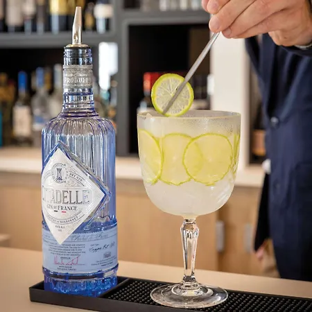 Hotel Hilton Garden Centre, France Tours