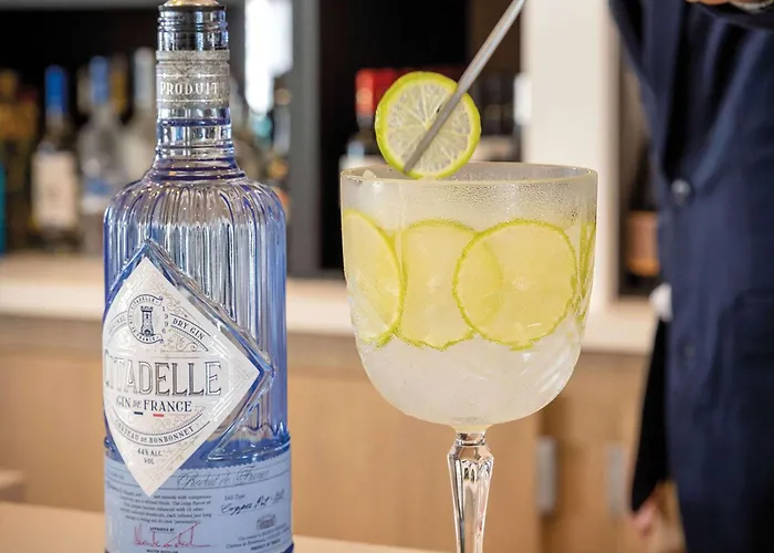 酒店 Hilton Garden Centre, France 图尔