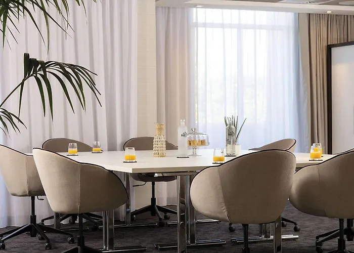 Hilton Garden Centre, France 4* 图尔