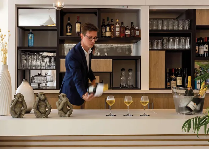 Hilton Garden Centre, France 图尔